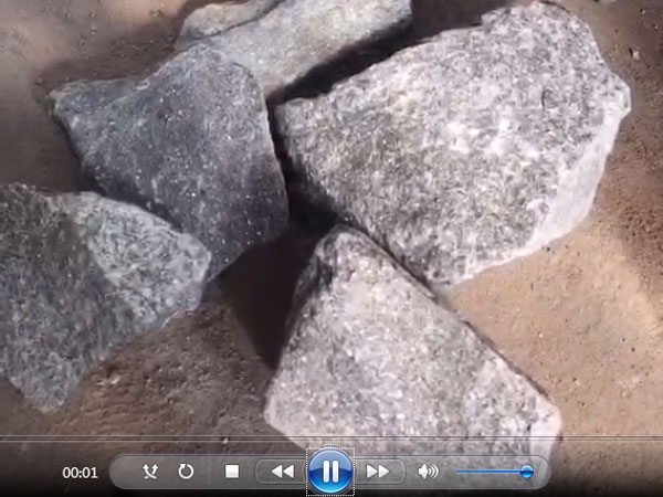 ƸۿͻԻ