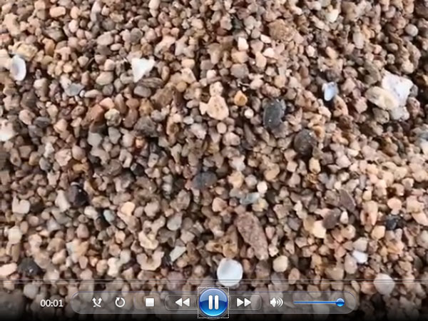 ڴɰԻ